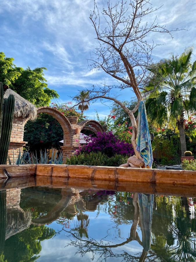 Casa Xochitl Bed & Breakfast El Centenario Eksteriør bilde