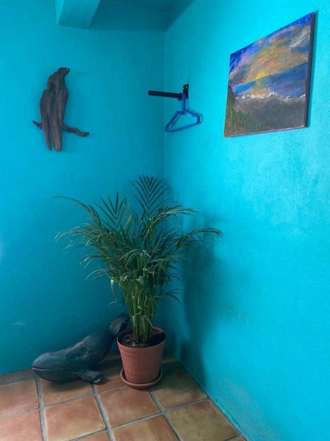 Casa Xochitl Bed & Breakfast El Centenario Eksteriør bilde